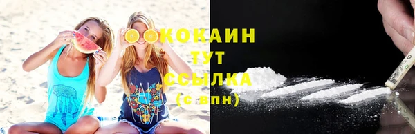 прущий лед Дмитров