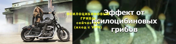 экстази Дмитриев