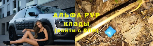 экстази Дмитриев