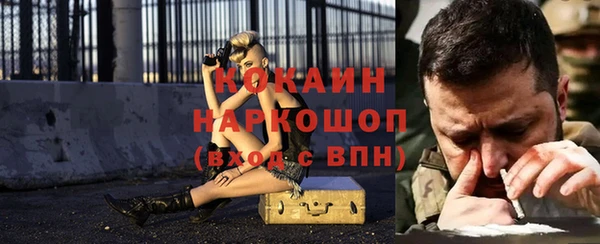 дживик Чегем