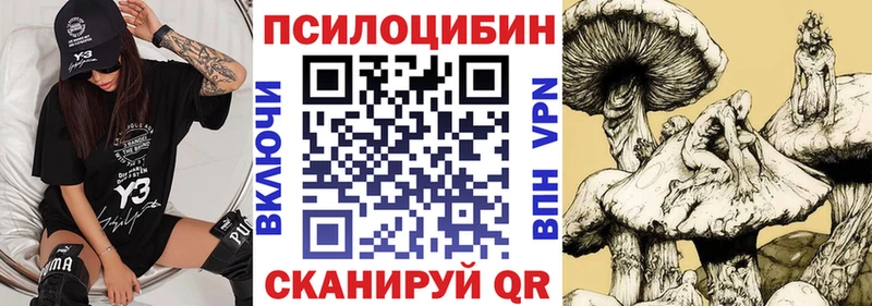 Псилоцибиновые грибы Psilocybe  Купить  Лиски 